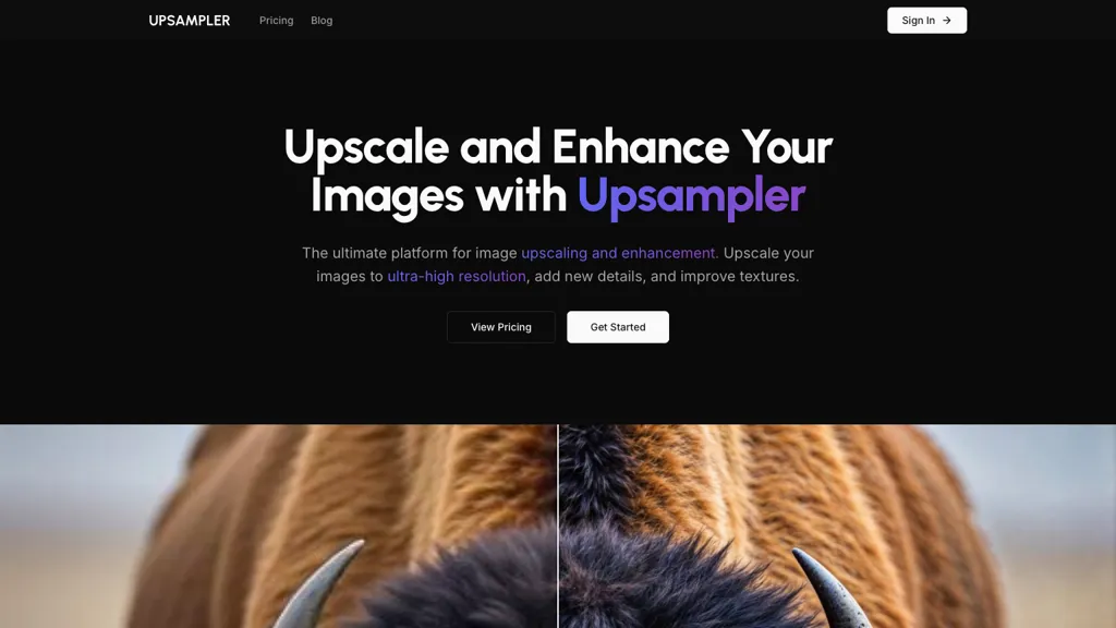Upsampler screenshot