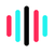 TikTok Voice