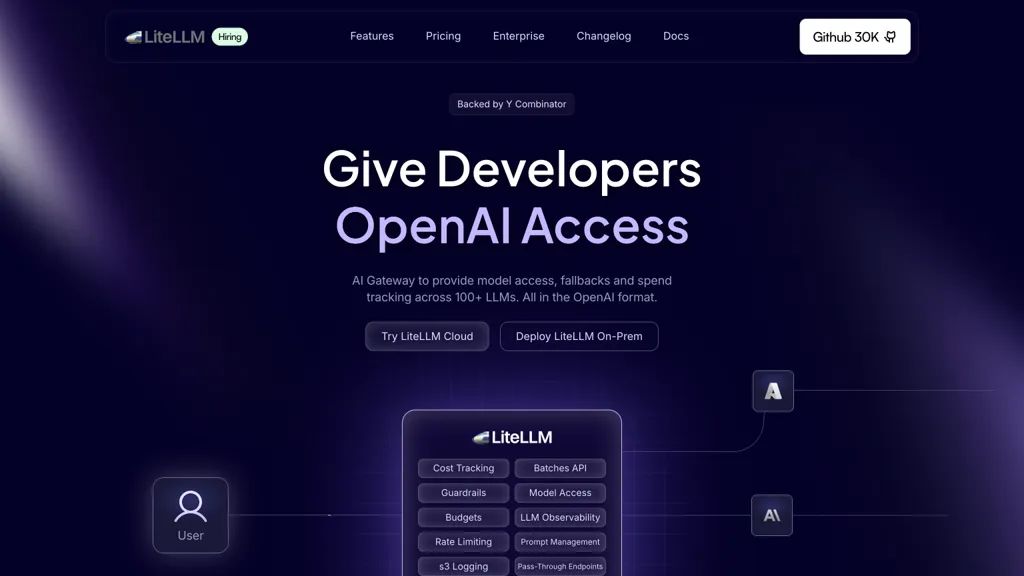 liteLLM screenshot