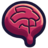 Zenquiz.app